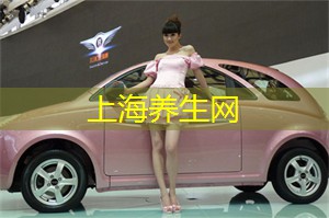 连环迷宫挑战！在上海后花园中解锁50个别具一格的难题