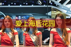 与动物亲密接触，上海后花园开启你与自然的对话时刻！