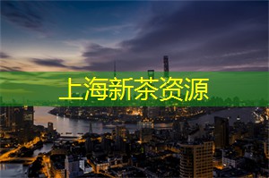 上海后花园：城市中的美丽乐园